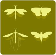 Insects silhouettes N3