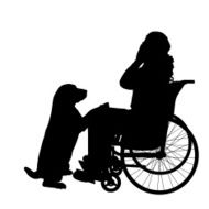 Vector silhouettes of family N118
