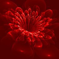 Beautiful flower on red background Computer generated graphics