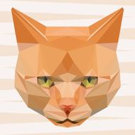 Abstract polygonal geometric triangle angry ginger cat background