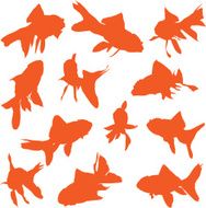 Goldfish Vectors