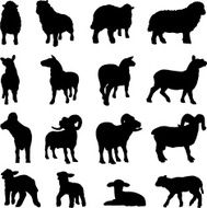 Sheep silhouette collection