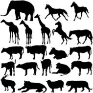 Set silhouettes animals in zoo collection