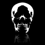 Skull N51
