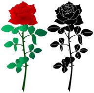 Rose N90