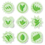 set of leaves icons