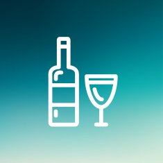 Bottle of whisky and a glass thin line icon N2