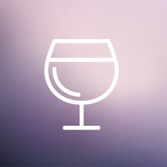 Glass of wine thin line icon N2