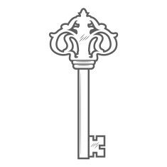Key isolated on white background vector