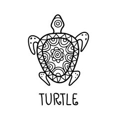 Hand drawn turtle symbol Vector logo design template N2