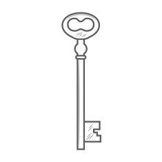 Key isolated on white background vector N2