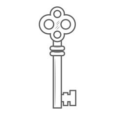 Key isolated on white background vector N3