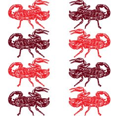 Seamless pattern of red scorpion N2
