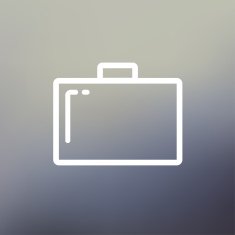 Suitcase thin line icon N3
