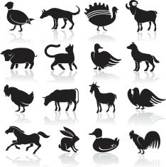 Domestic Animal Icon Set N2