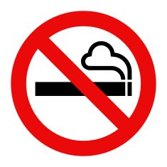No Smoking Sign N88