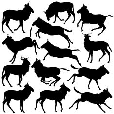 Wildebeest silhouettes free image download