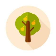 Fruit tree flat icon with long shadow