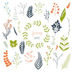 Collection of spring flowers leaves dandelion grass