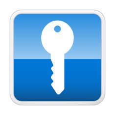 Key Icon N17