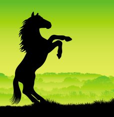 Horse silhouette rearing up