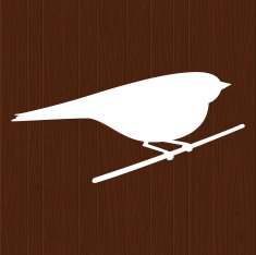 Bird looking forward