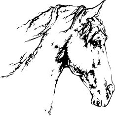 Horse Head Silhouette N12