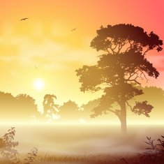 Misty Landscape N2