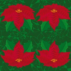 Seamless green background red flowers of poinsettia seamless pattern N2
