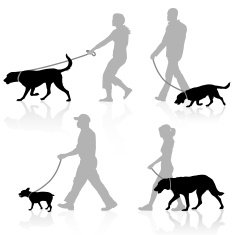 Dog Walkers N2