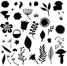Vector silhouette of different flowers N2