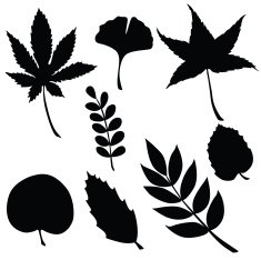 Vector silhouette of garden supplies