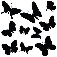 Vector silhouette of butterflies