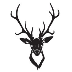 Deer head isolated
