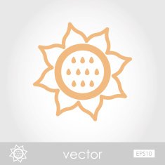 Vector Sunflower icon