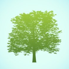 big tree silhouette N2