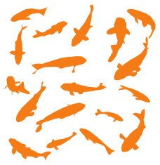 Gold fish to use in your design