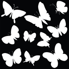 Vector silhouette of butterflies N2