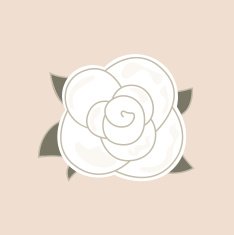Beautiful vintage rose isolated on pale background N2
