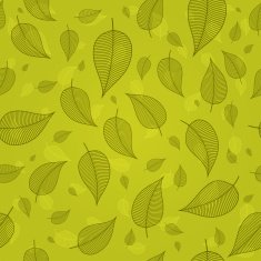 Skeletonized leaves on a green background vector N2