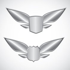 Wing steel design elements