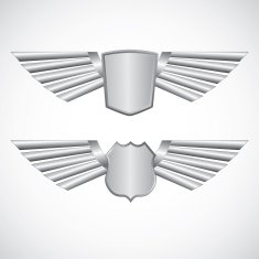Wing steel design elements N2