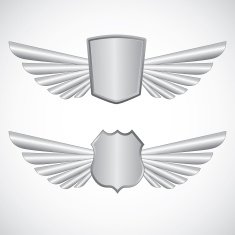 Wing steel design elements N4
