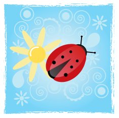 Lady bug with daisy