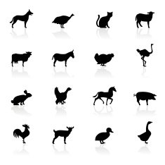 Black Symbols - Farm Animals N2