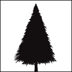 christmas tree N232