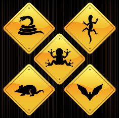 Yellow Signs - Animals