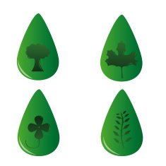 leaf N25
