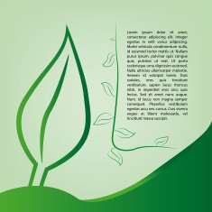 leaf N26