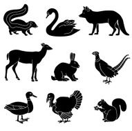 Country animals N2